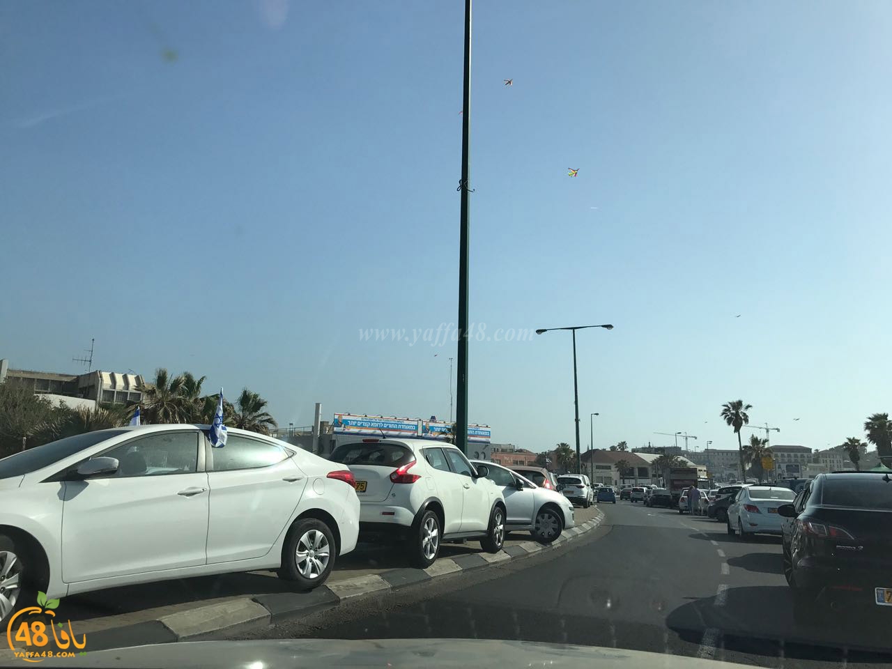 cars in yefaffa (12).jpg